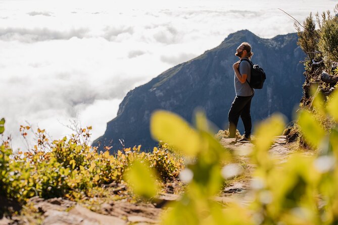 PR1 Sunrise Pico do Arieiro Self-Guided Hiking Transfer - The drive from Funchal to Pico do Arieiro