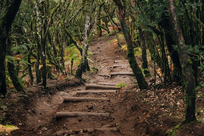 PR13 Vereda do Fanal Mystical Self-Guided Hiking with Transfer - The morning transfer from Funchal