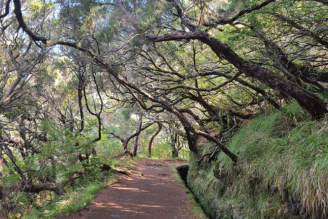 PR6 & PR6.1 25 Fontes & Risco Levada Self-Guided Hiking Rabaçal - Key points to know before you book