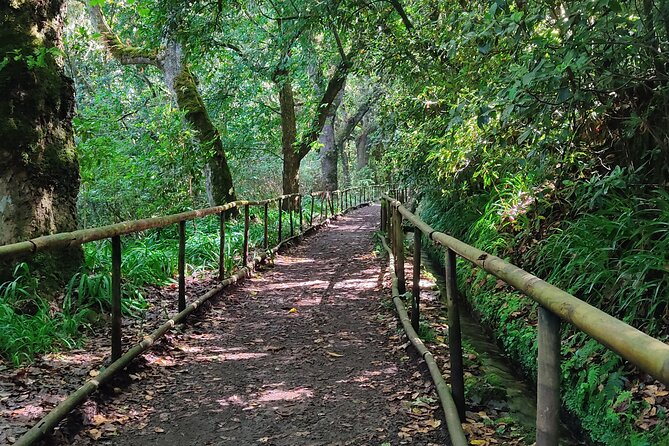 PR9 Caldeirão Verde Queimadas Levada Self-Guided Hiking Transfer - Key points to know before booking