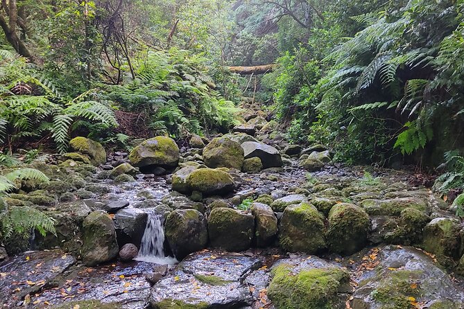 PR9 Caldeirão Verde Queimadas Levada Self-Guided Hiking Transfer - Why this levada walk is worth your day