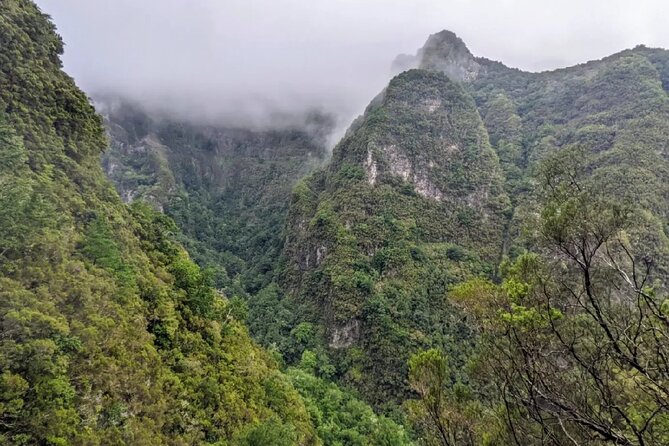 PR9 Caldeirão Verde Queimadas Levada Self-Guided Hiking Transfer - Finishing on the PR Joël trail