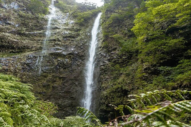 PR9 Caldeirão Verde Queimadas Levada Self-Guided Hiking Transfer - Who should book this hike?