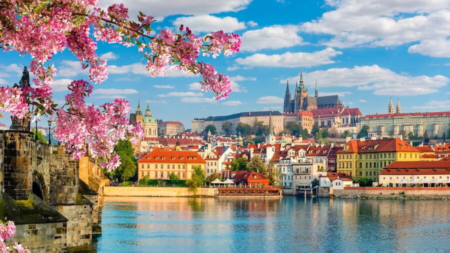 Prague: Castle Circuit Entry Tickets with Audio Guide - The Old Royal Palace and its grand halls