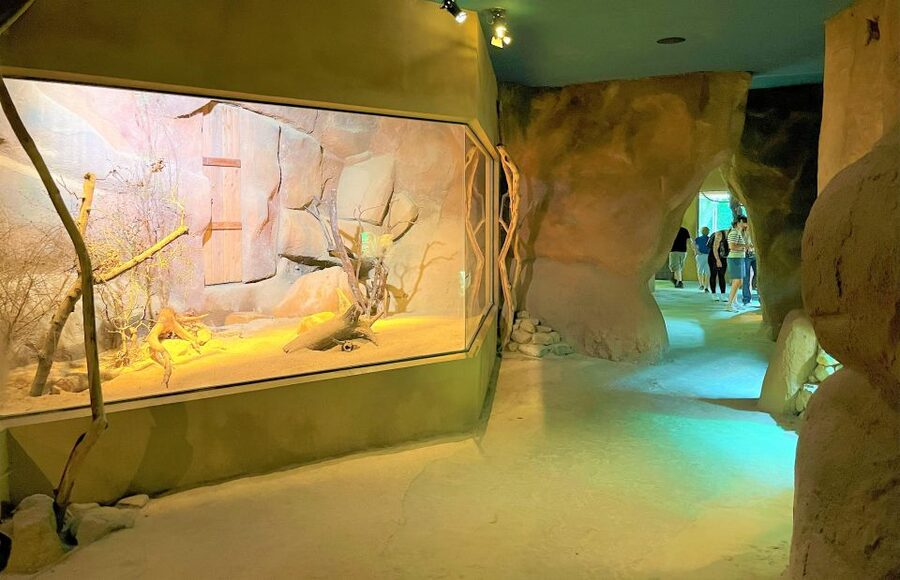 Prague: Prague Zoo Audio Guide with E-Ticket - What the audio guide adds
