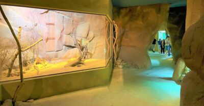 Prague: Prague Zoo Audio Guide with E-Ticket