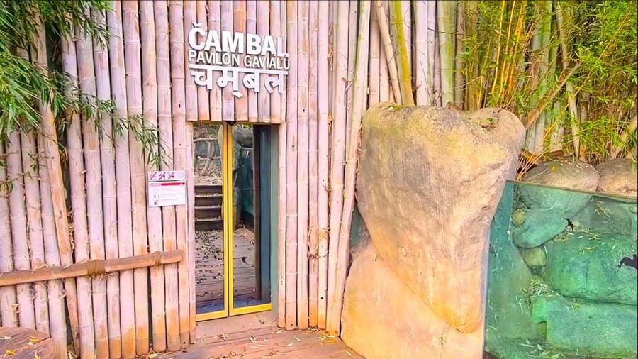 Prague: Prague Zoo Audio Guide with E-Ticket - Exploring the pavilions and animal areas