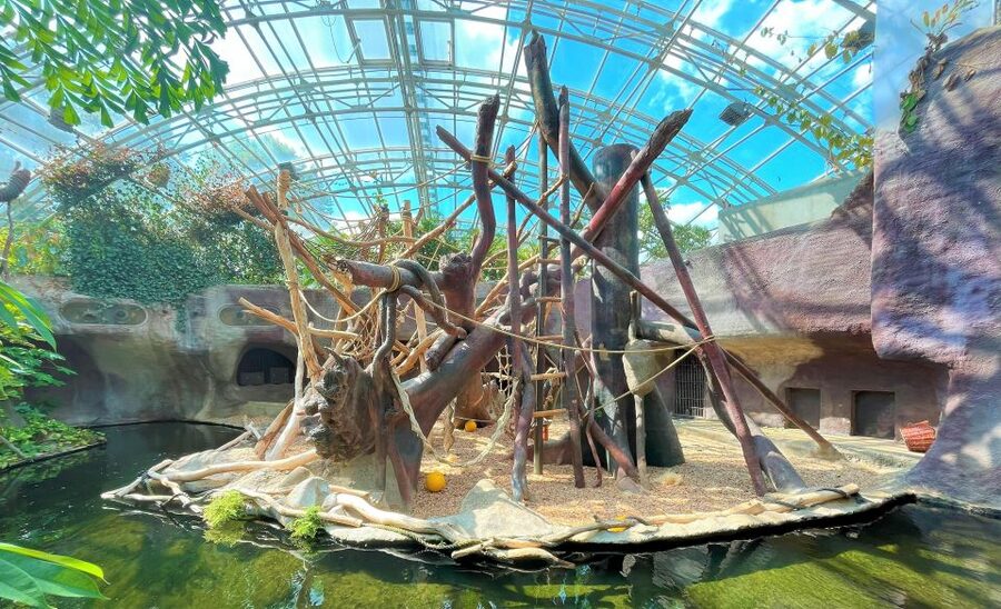 Prague: Prague Zoo Audio Guide with E-Ticket - The zoo’s story of war, floods, and breeding success