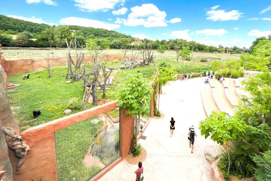 Prague: Prague Zoo Audio Guide with E-Ticket - Food, seating, and the practical side of a seven-hour visit