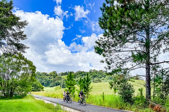 Premium E Bike Hire at the Northern Rivers Rail Trail - Key points at a glance