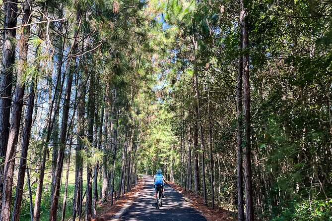 Premium E Bike Hire at the Northern Rivers Rail Trail - A self-guided ride with useful local help