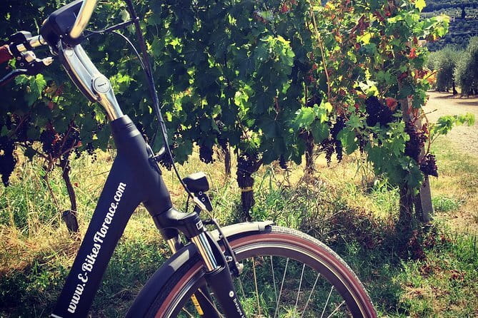 Private Self-Guided E-Bike Ride in Tuscany with Vineyard Visit - Key points to know before you ride