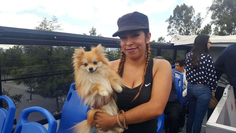 Puebla: Hop-On Hop-Off Bus Tour with Audio Guide - Who should book this Puebla ride?