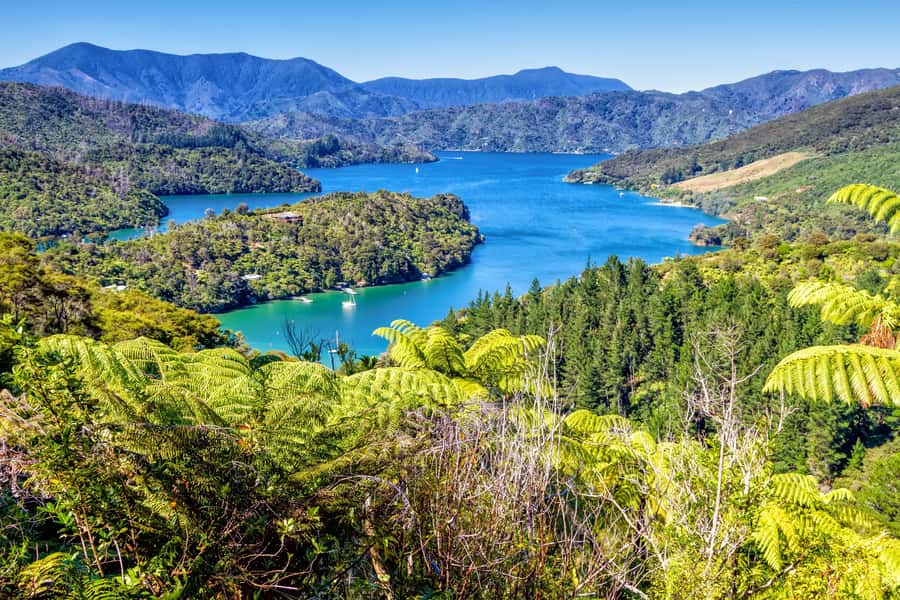 Queen Charlotte Track: Cruise & Self-Guided Hike from Picton - Key points to know before you go