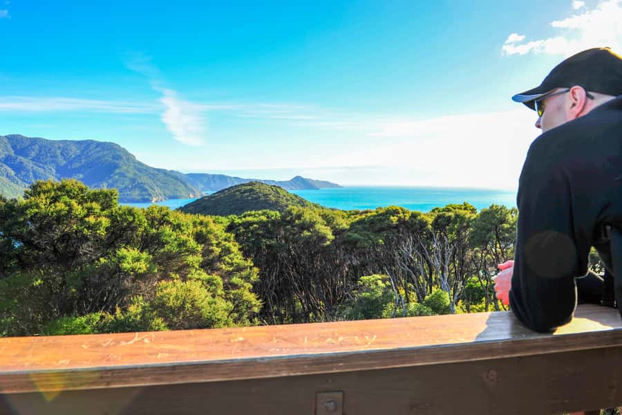 Queen Charlotte Track: Cruise & Self-Guided Hike from Picton - Option one: 12.7 km from Furneaux Lodge to Punga Cove