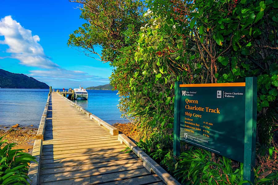 Queen Charlotte Track: Cruise & Self-Guided Hike from Picton - Option two: 17 km from Ship Cove to Furneaux Lodge