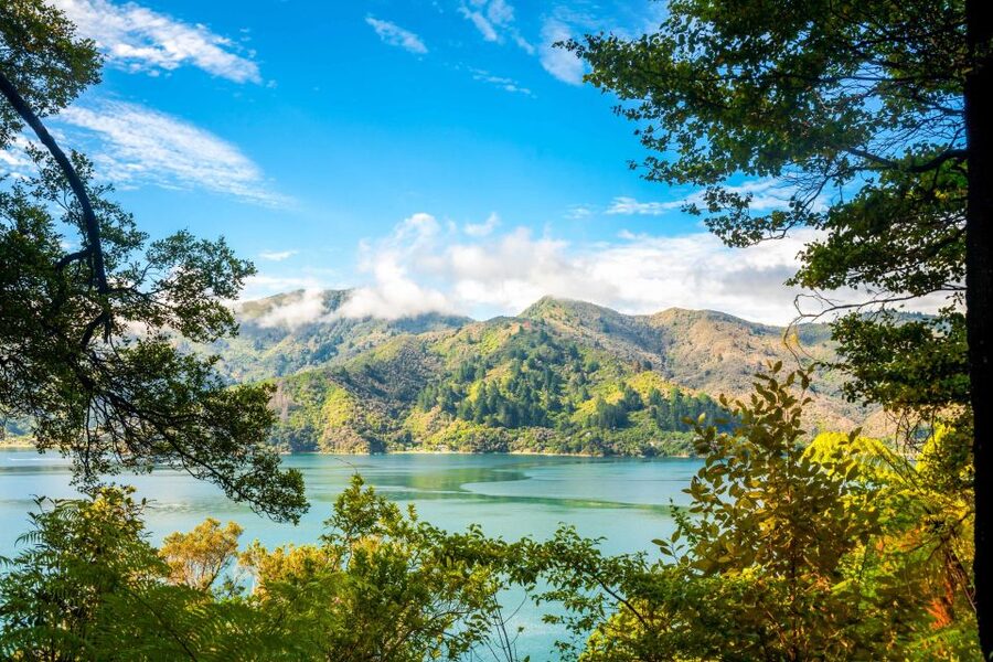 Queen Charlotte Track: Cruise & Self-Guided Hike from Picton - What is included, and what you need to carry