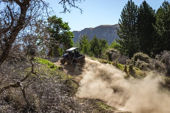 Queenstown Guided Self-Drive Buggy Tour - Safety is serious without taking the fun away
