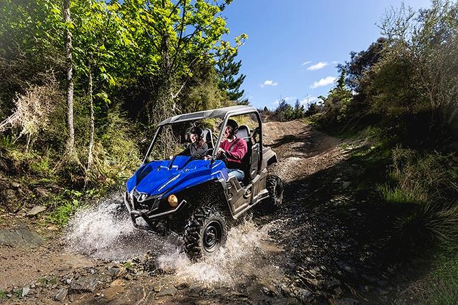 Queenstown Guided Self-Drive Buggy Tour - Training turns nerves into control