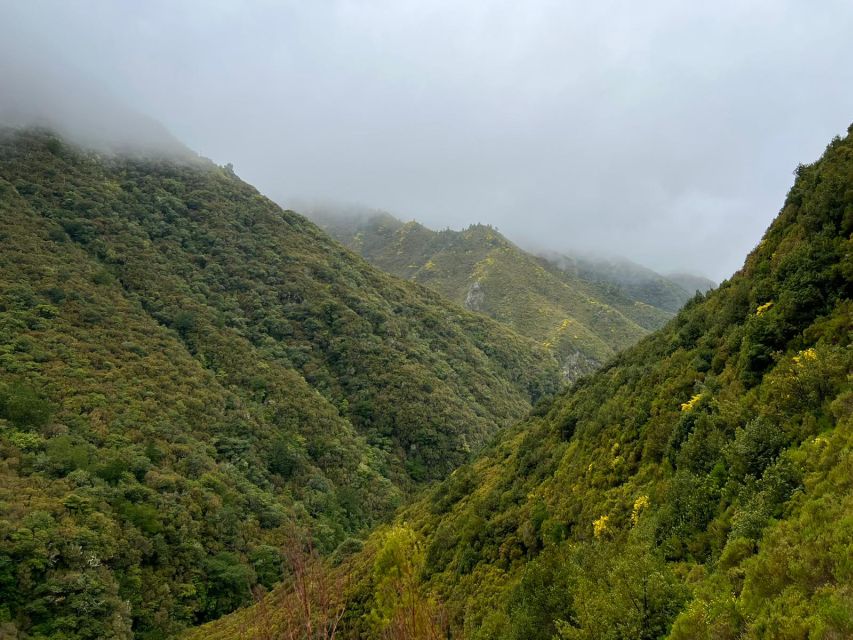 Rabaçal: 25 Fontes & Risco Levada Transfer Self-guided Hike - Why the 25 Fontes and Risco walk is so popular