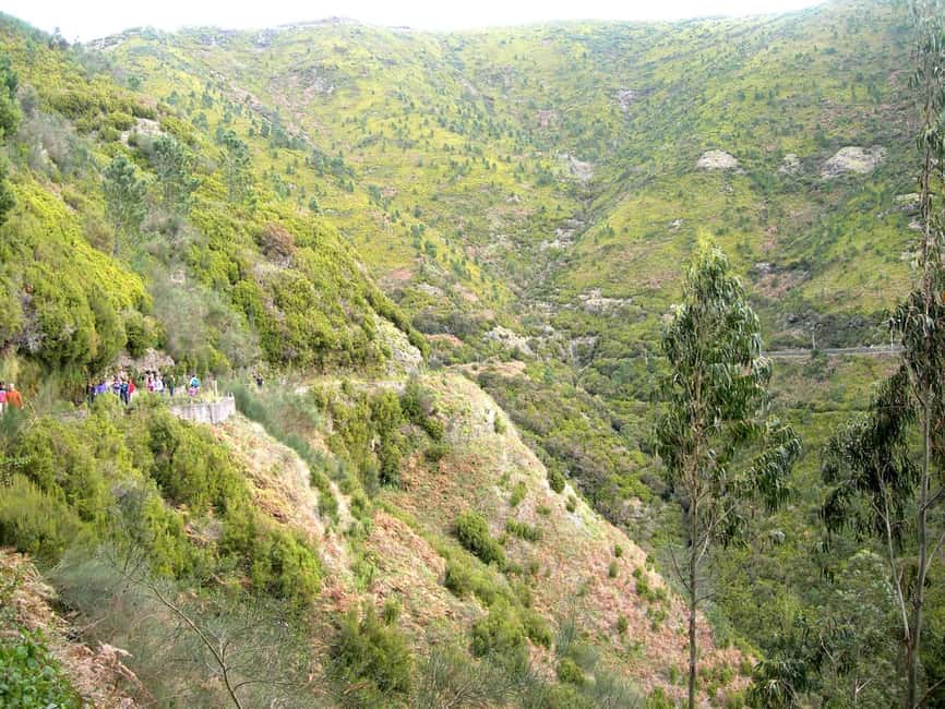 Rabaçal: 25 Fontes & Risco Levada Transfer Self-guided Hike - Starting at the Rabaçal parking area