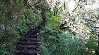 Rabaçal: 25 Fontes & Risco Levada Transfer Self-guided Hike