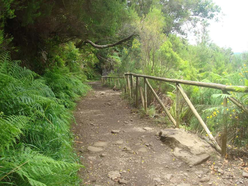 Rabaçal: 25 Fontes & Risco Levada Transfer Self-guided Hike - Taking the short path to Risco