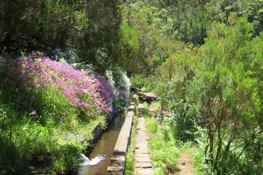 Rabaçal: 25 Fontes & Risco Levada Transfer Self-guided Hike - Weather, clothing, and practical preparation