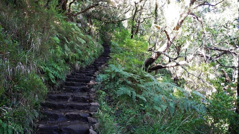 Rabaçal: 25 Fontes & Risco Levada Transfer Self-guided Hike - The early van ride from Funchal