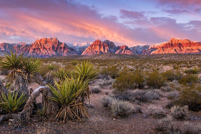 Red Rock Canyon Self-Guided Electric Bike Tour - Key points to know before you book