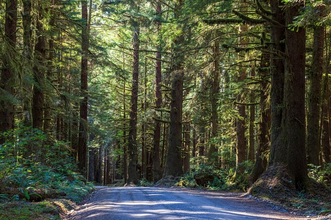 Redwood National and State Parks Self-Guided Audio Driving Tour - Prairie Creek and the road to Fern Canyon