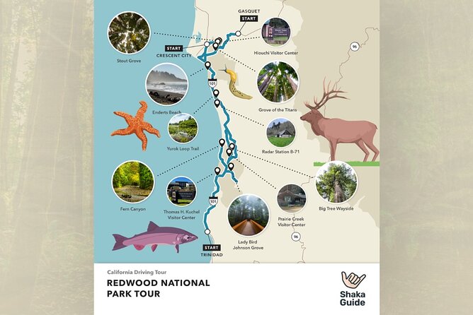 Redwood National Park Self-Guided Audio Tour - Trees of Mystery and the cost of a tourist attraction