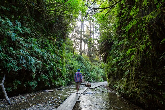 Redwood National Park Self-Guided Audio Tour - Prairie Creek and the tallest trees of the southern route