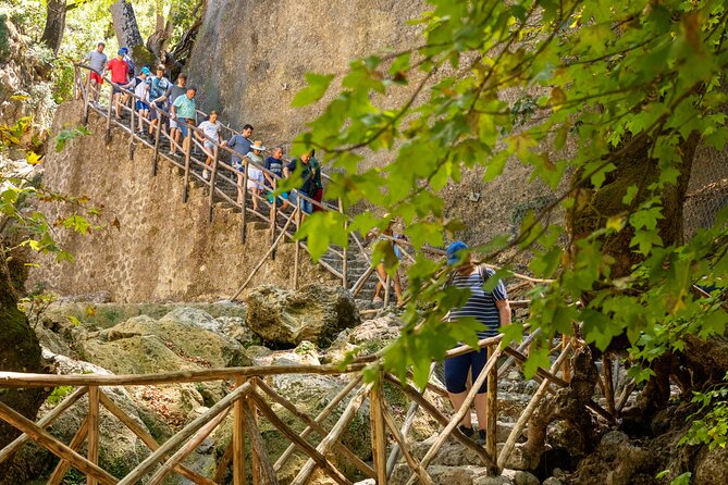 Rhodes: Butterfly Valley & Seven Springs Nature Day Trip - The best season for Butterfly Valley