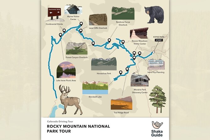 Rocky Mountain National Park Self-Guided Audio Tour - Trail Ridge Road viewpoints above the trees