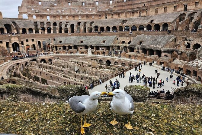 Rome: Colosseum, Roman Forum & Palatine Hill Visit + Audio Guide - How to arrange your few hours