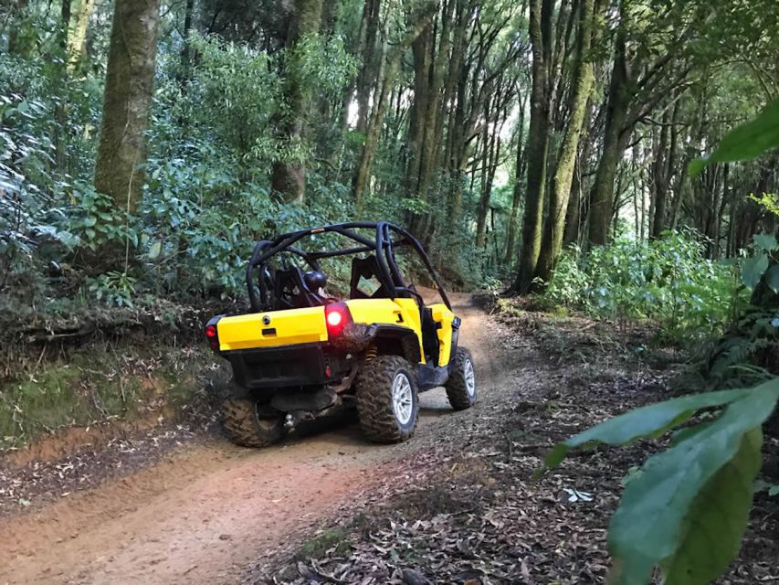 Rotorua: 4×4 Self-Drive Buggy Tour Through Farm and Bushland - Getting behind the wheel in Rotorua