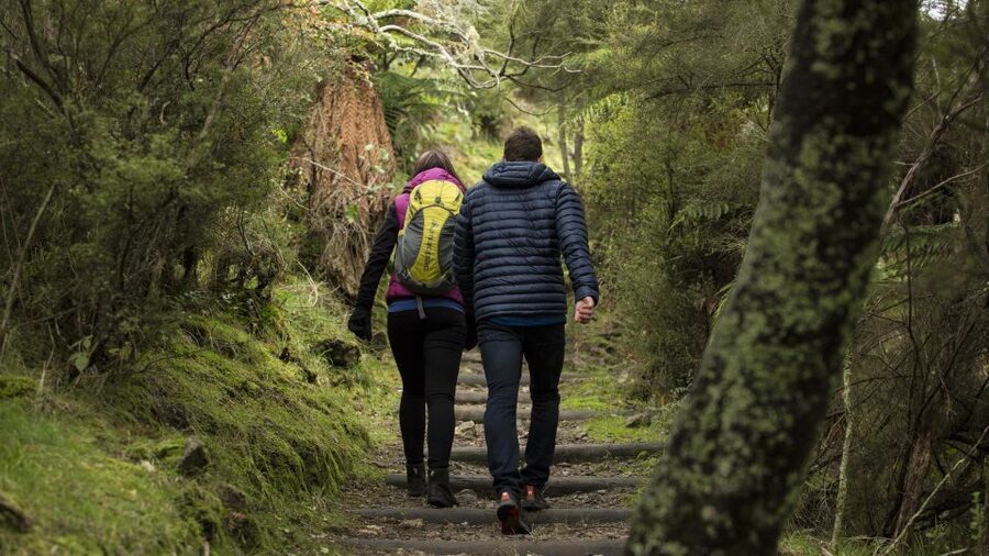Rotorua: Waimangu Volcanic Valley Ticket & Self-Guided Walk - Who should book Waimangu Volcanic Valley