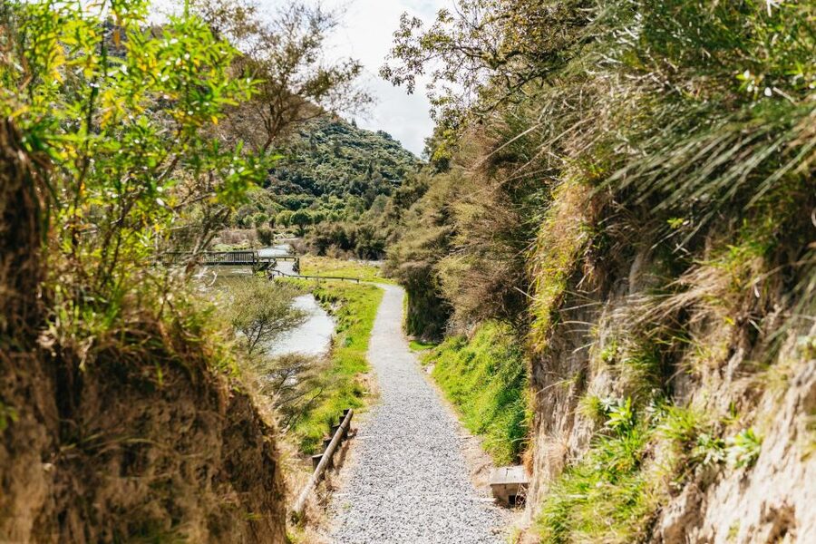 Rotorua: Waimangu Volcanic Valley Ticket & Self-Guided Walk - Why Waimangu feels different from Rotorua’s other geothermal stops