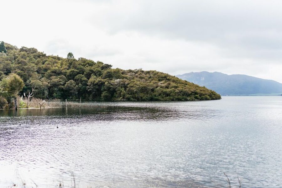 Rotorua: Waimangu Volcanic Valley Ticket & Self-Guided Walk - Choosing a route from 45 minutes to four hours