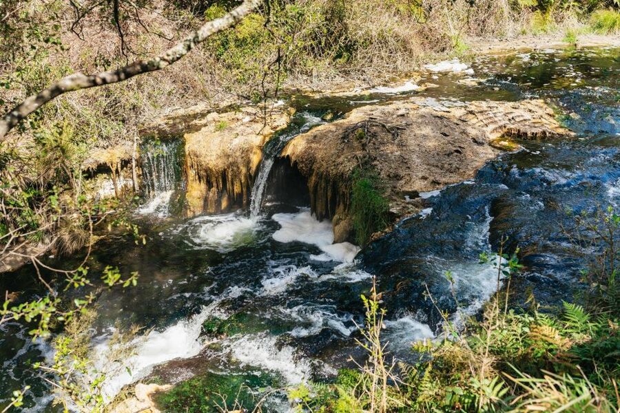 Rotorua: Waimangu Volcanic Valley Ticket & Self-Guided Walk - What $38 gets you