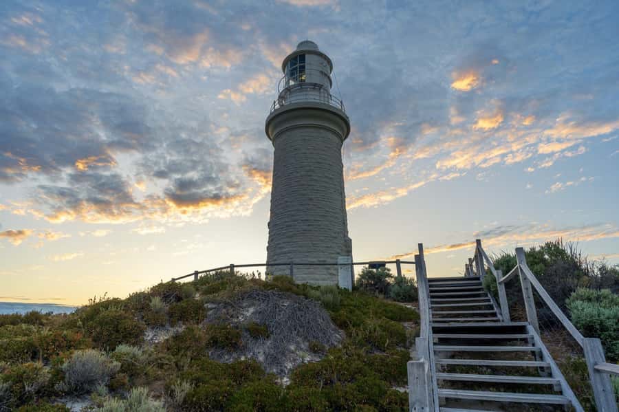 Rottnest Island - E-Rickshaw Tour with private guide - Key points to know before booking