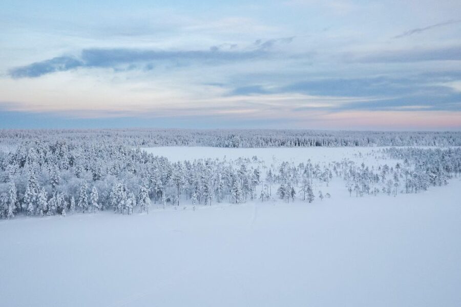 Rovaniemi: 4-5 km Self-Drive Husky Sled Through the Forest - Meeting Alaskan huskies at a working farm