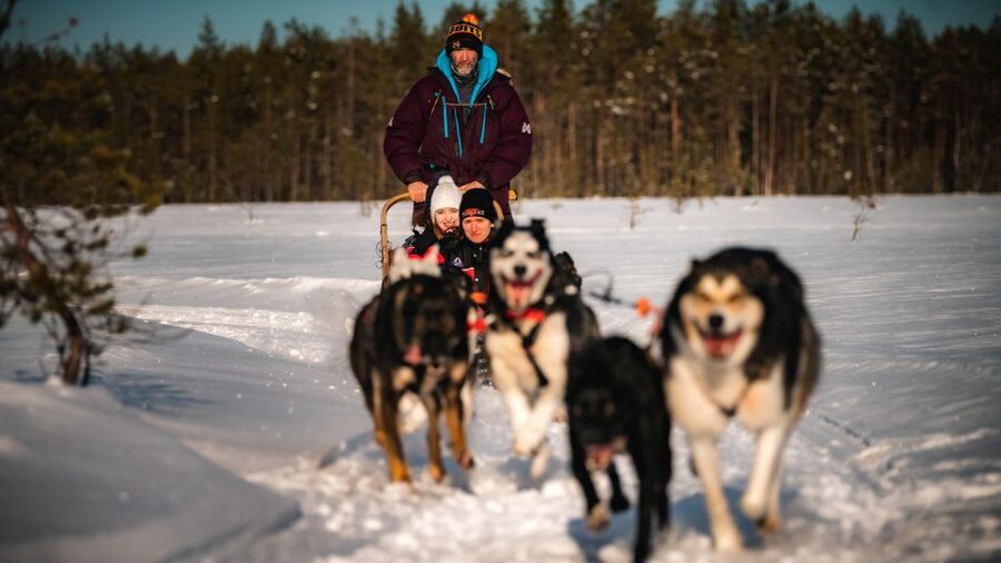 Rovaniemi: 4-5 km Self-Drive Husky Sled Through the Forest - Through forest and open snow