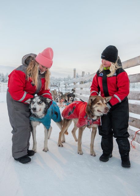 Rovaniemi: 4-5 km Self-Drive Husky Sled Through the Forest - What happens during the three-hour schedule