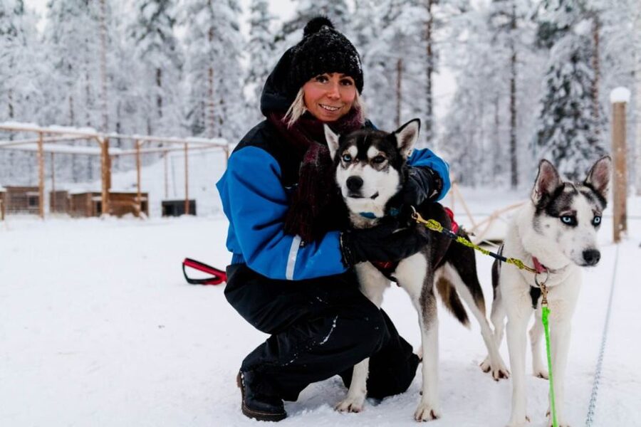Rovaniemi: Apukka Husky Adventure 7km, self-driven - Key points before you book