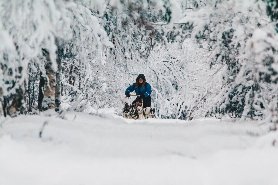 Rovaniemi: Apukka Husky Adventure 7km, self-driven - Getting ready for the dogs and the cold
