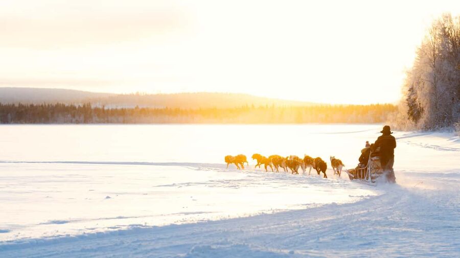 Rovaniemi: Insider 5km Husky Self Drive Tour - The 5 km trail through snowy woods