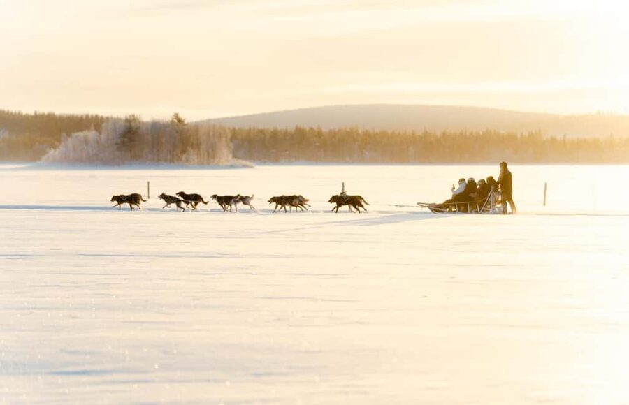 Rovaniemi: Insider 5km Husky Self Drive Tour - Who will enjoy this husky tour most?