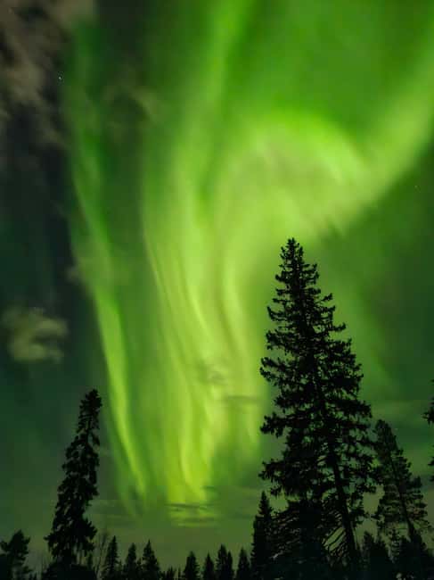 Rovaniemi: Private Self-drive husky sledding Aurora tour - Key points to know before booking